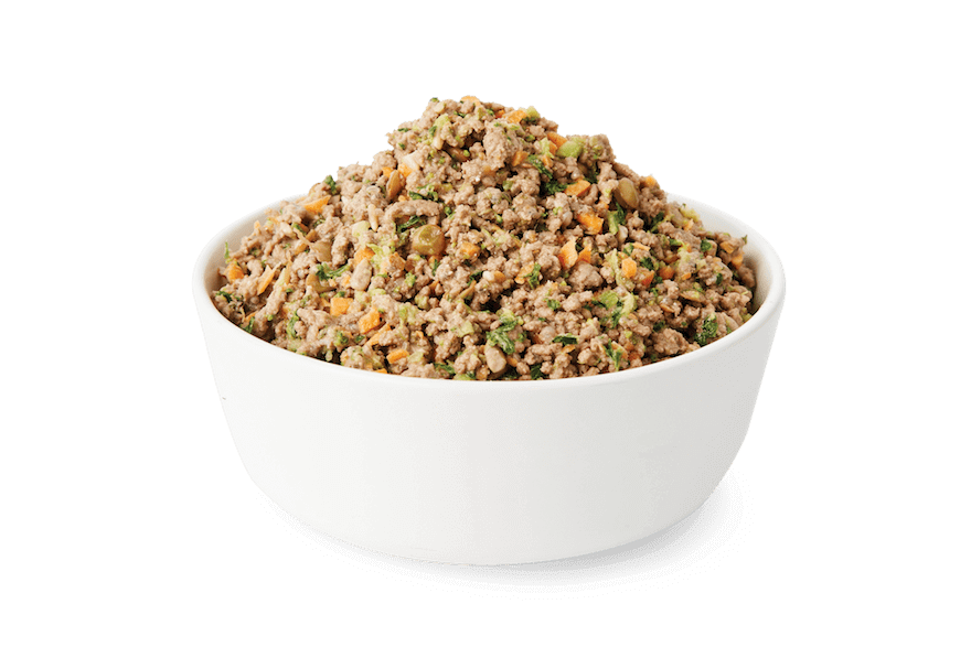 Fresh dog food bowl
