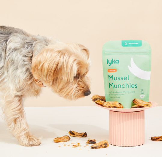 Lyka Pet Food | Fresh & Homemade Dog Food, Delivered