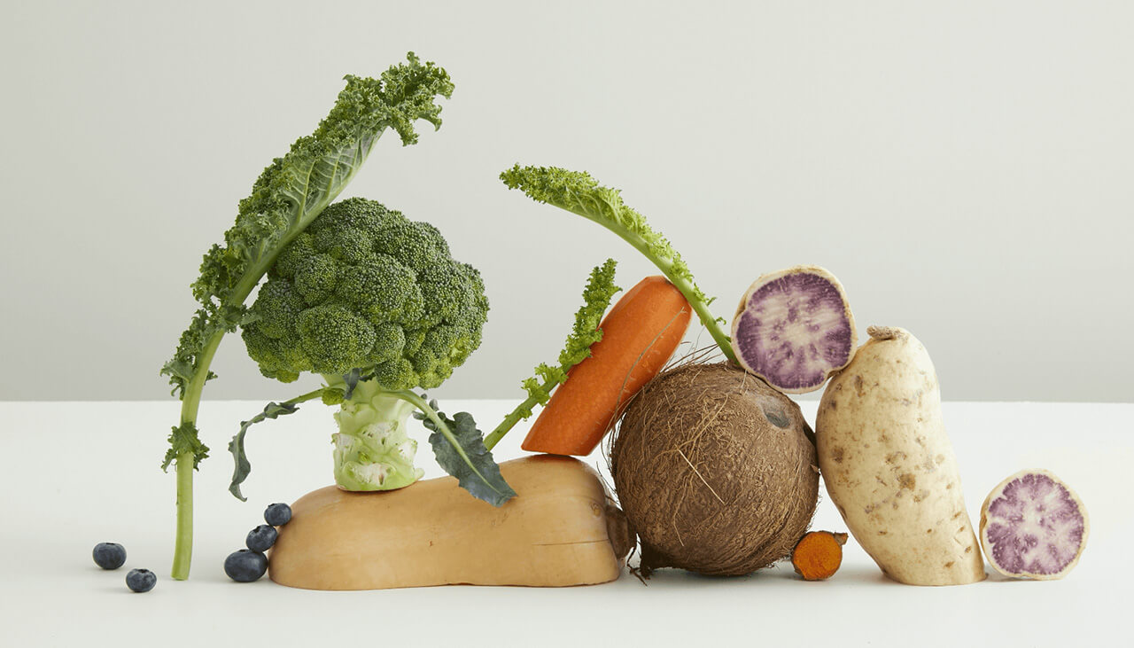 Fresh dog food recipe ingredients