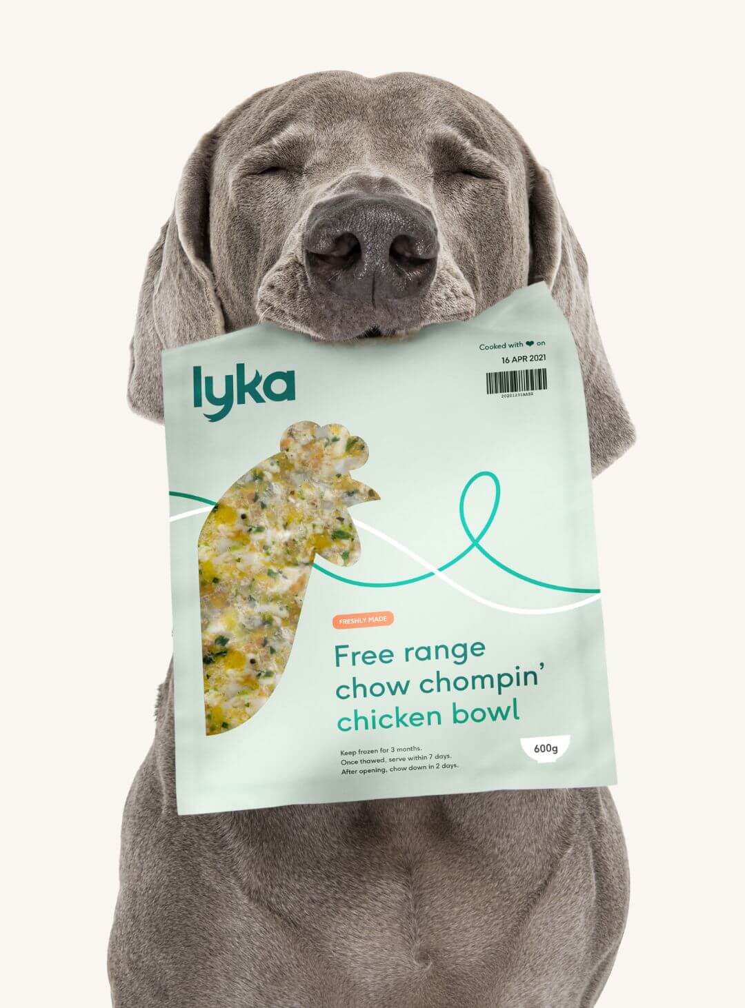 A dog holding a Lyka Free range chow chompin' chicken bowl pack in his mouth