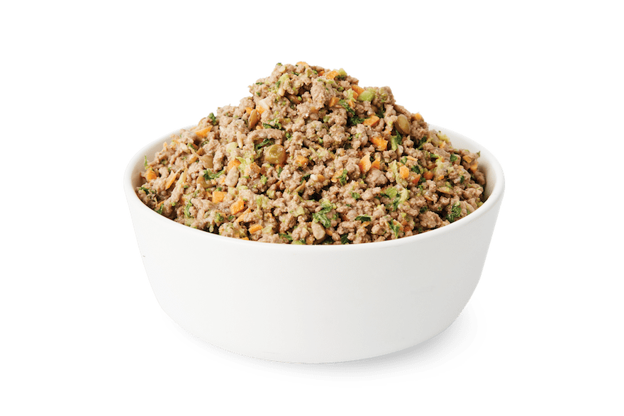 Fresh dog food bowl